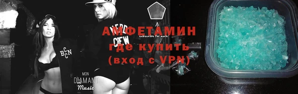 гашик Дмитровск