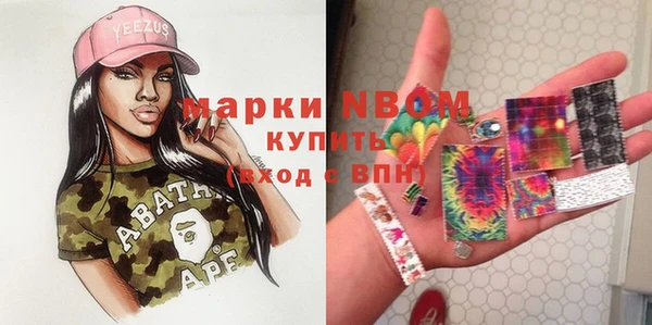соль ск Гусь-Хрустальный