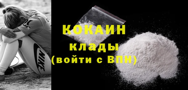 гашик Дмитровск
